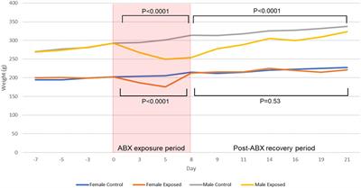 The Response of the Rodent Gut Microbiome to Broad-Spectrum Antibiotics Is Different in Males and Females